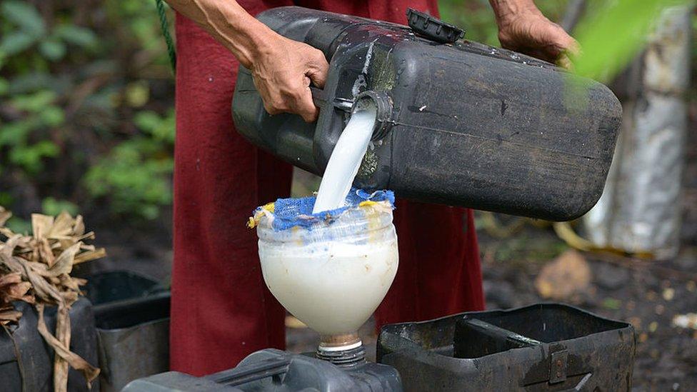 Coconut sap