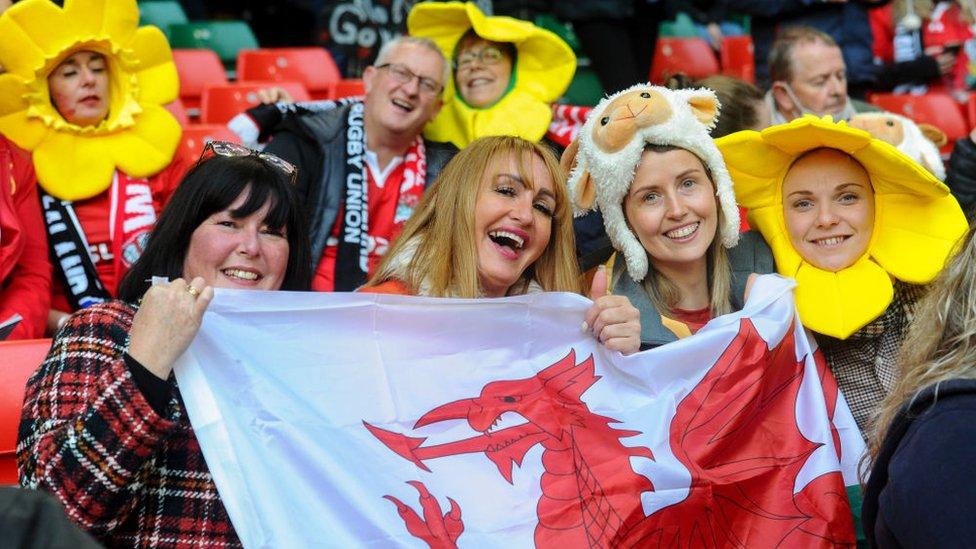 Wales fans with daffodils and sheep and Wales flags