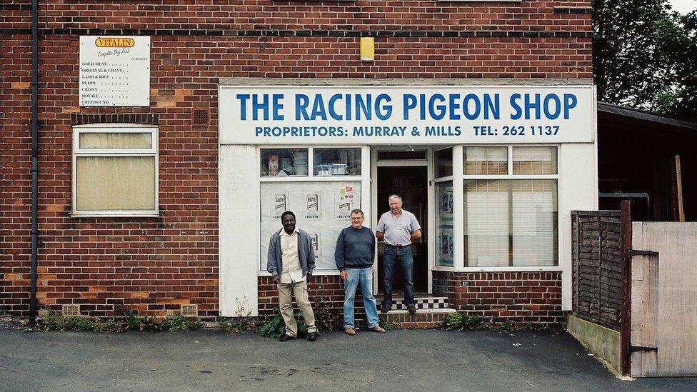 A racing pigeon shop