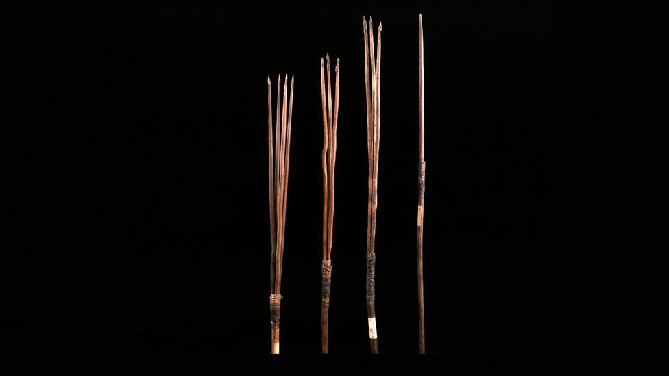 Aboriginal spears