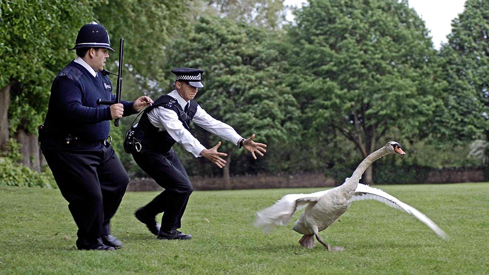 Nick Frost and Simon Pegg in Hot Fuzz chasing a swan