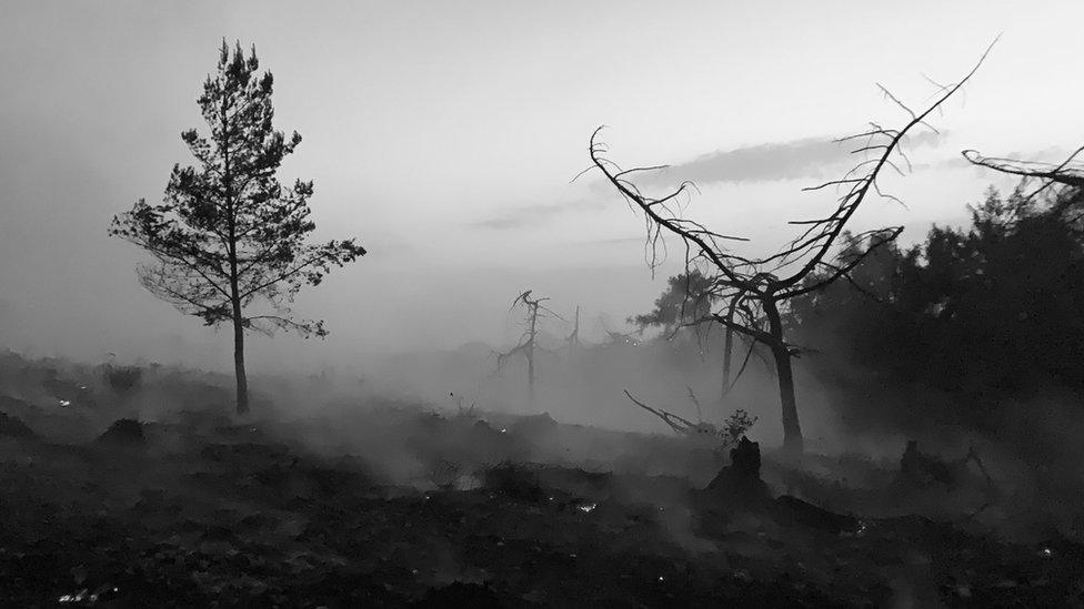 Damage shown to country park