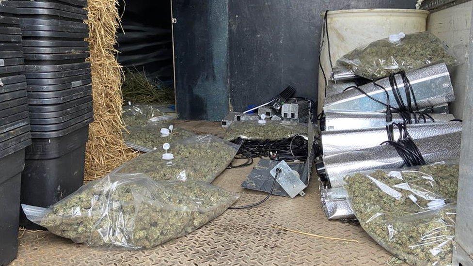 Cannabis bags found by police during a raid in Laindon, Essex