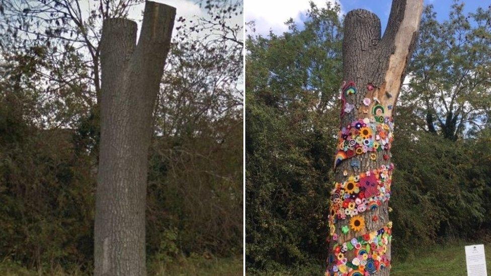 Tree of Hope, before and after