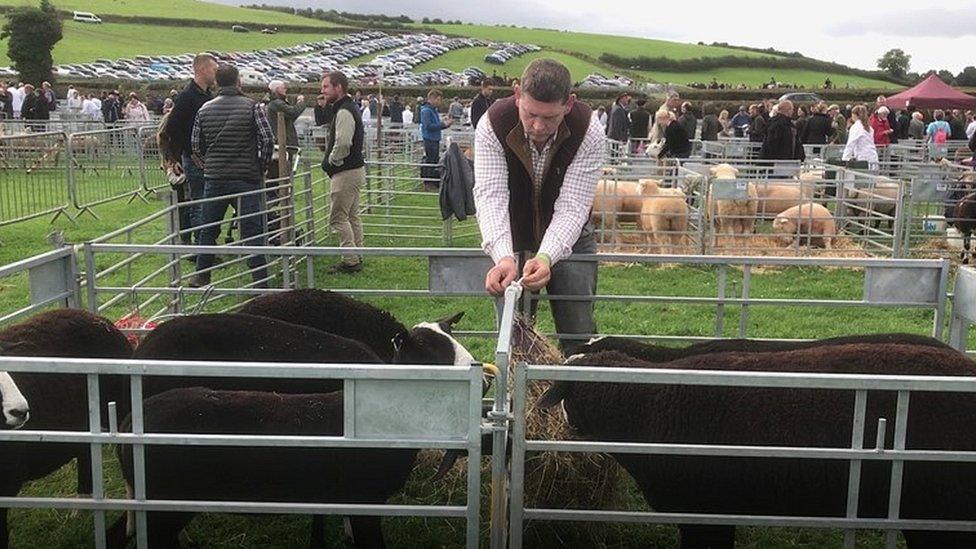 Farmer at Westmorland County Show