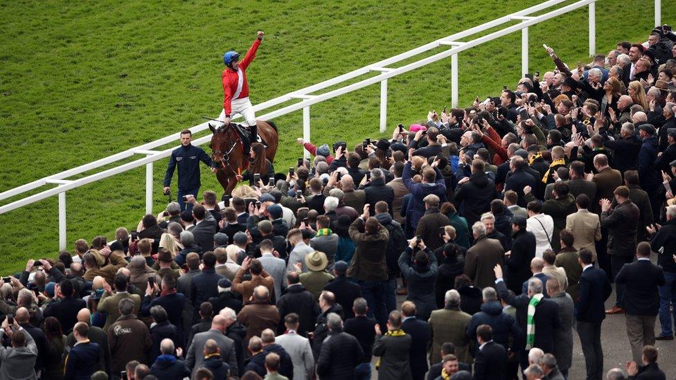 Cheltenham Festival, March 2020