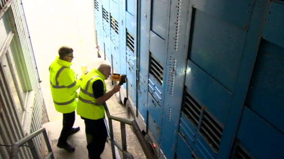 inspectors at Larne port