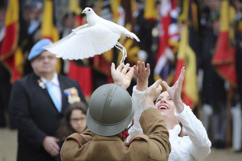 A dove being released