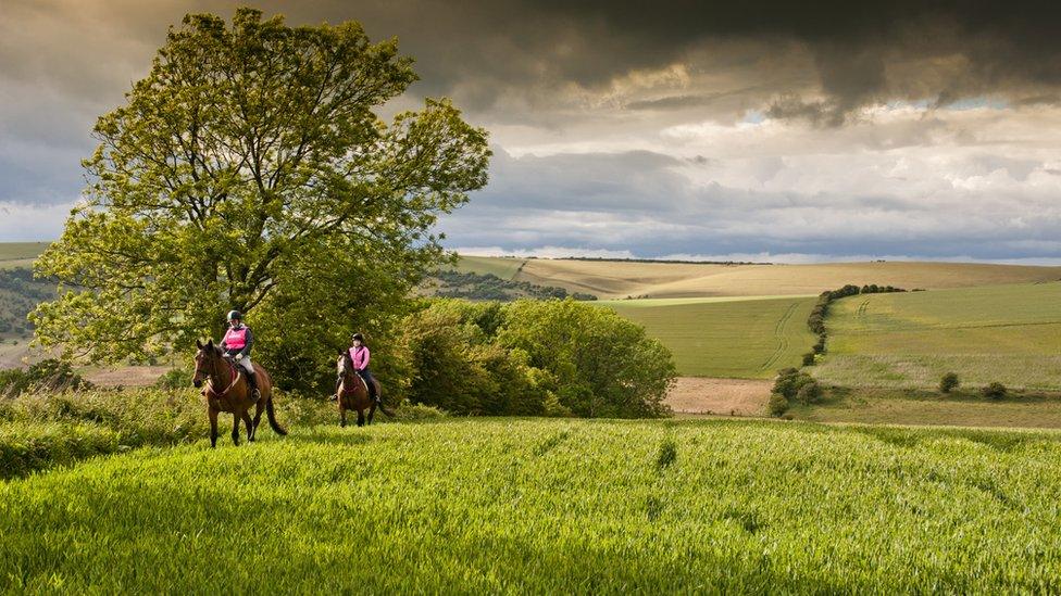 Horse riders in the national park