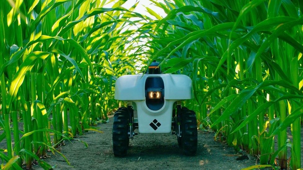 A robot at Daslab's research fields