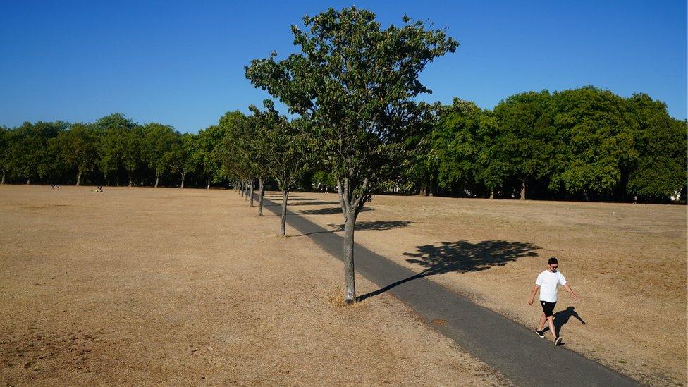 Man walking across dry, dead grass of Victoria Park in London