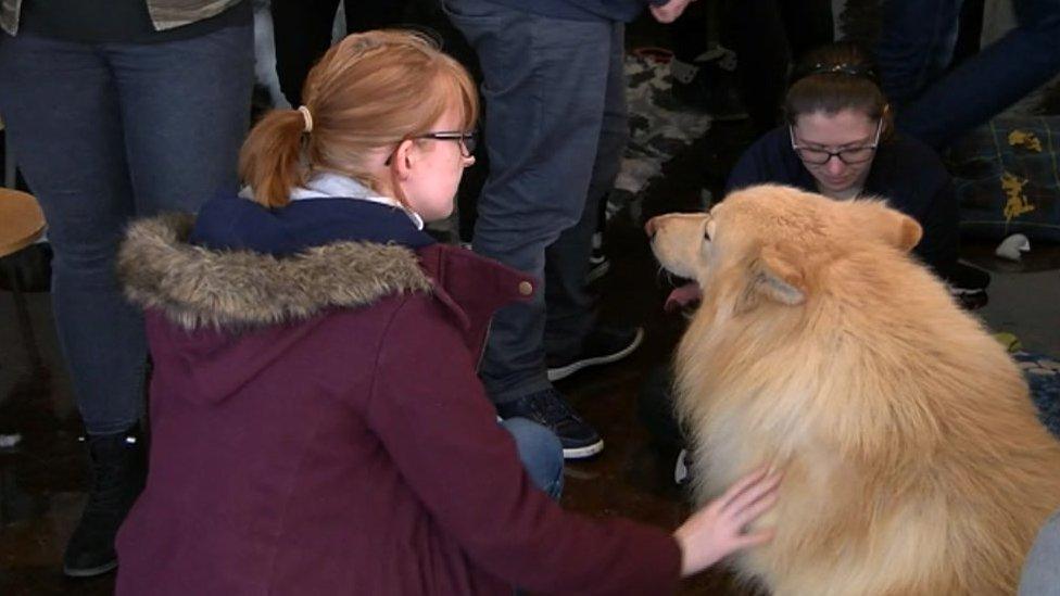 The event forms part of a wider programme of events at Aberystwyth University to promote student wellbeing and mental health during exams