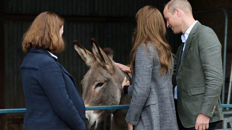 The couple with a donkey