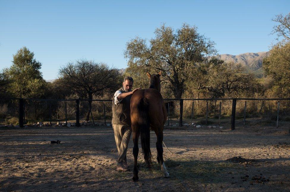 Oscar in the farmyard with a wild horse