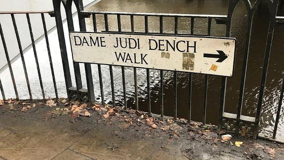 Dame Judi Dench Walk sign