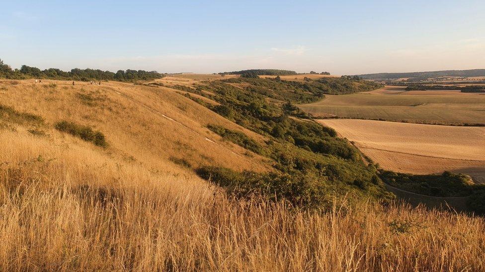 Dunstable Downs, Bedfordshire