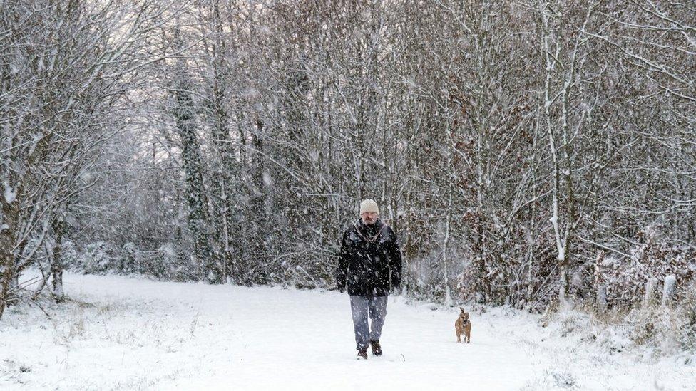 A man walks his dog in Gateshead as the snow continues to fall