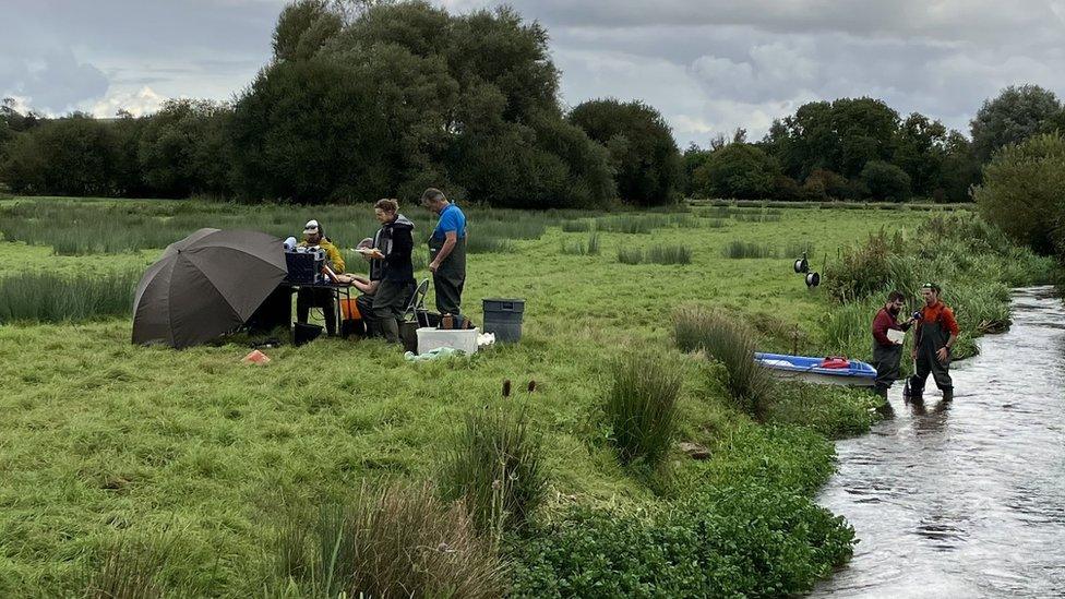 Conservationists at the River Frome