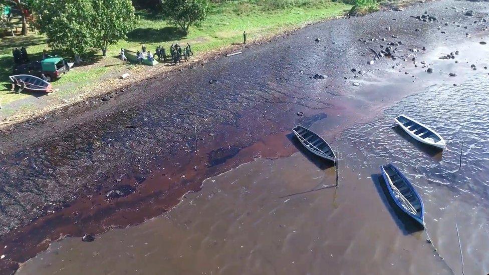 A view of the oil coming ashore on the island