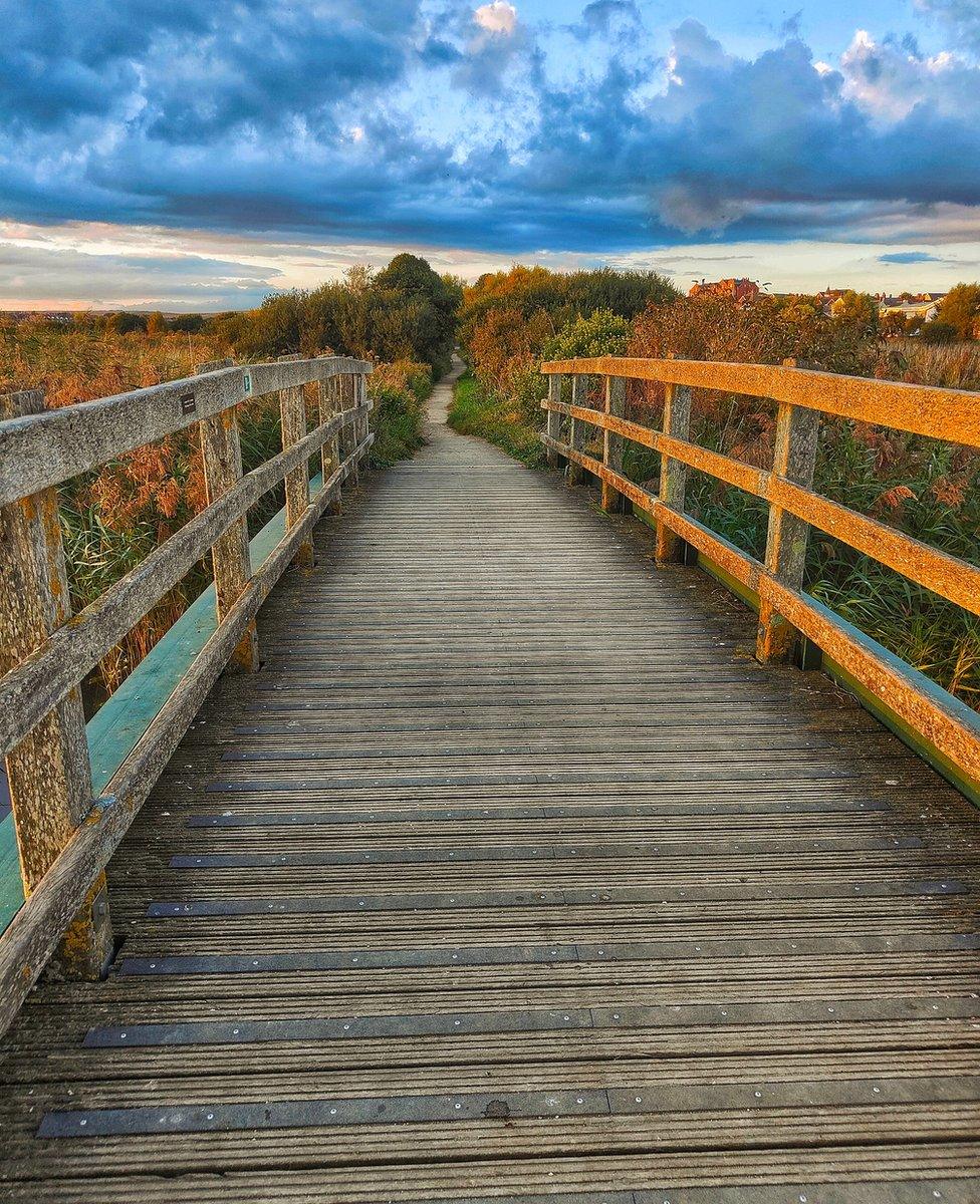 A bridge with trees in the distance