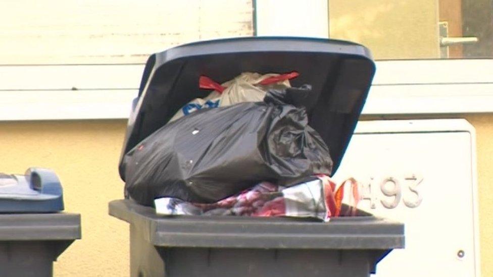 Bins in Selly Oak, Birmingham