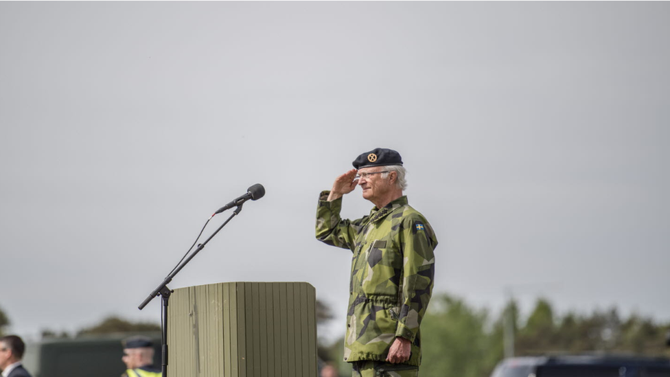 King Carl XVI Gustaf addresses the Gotland Regiment