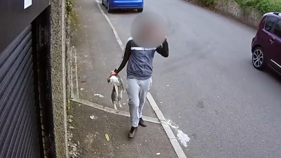 A teenager carrying the dead cat down the road