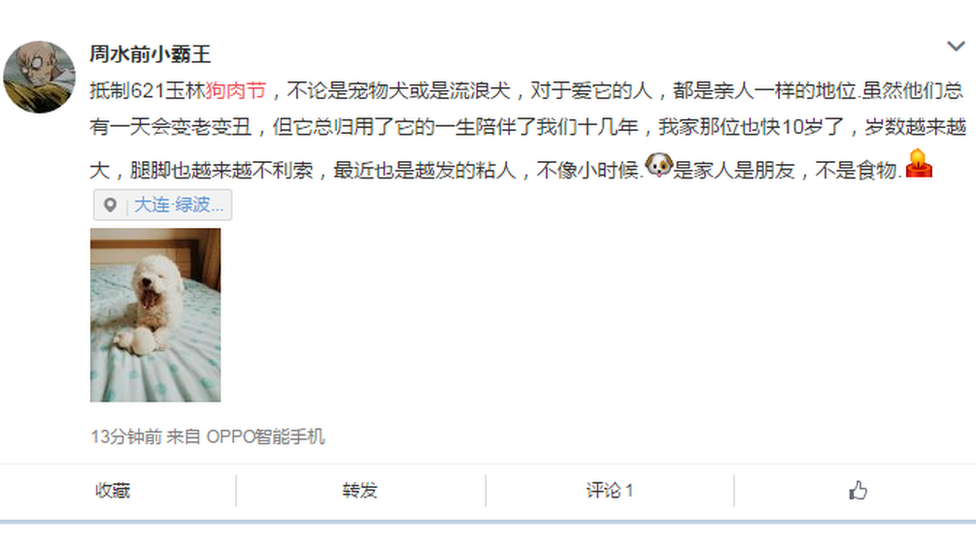 My dog is almost ten years old and is like my family, writes this Weibo user