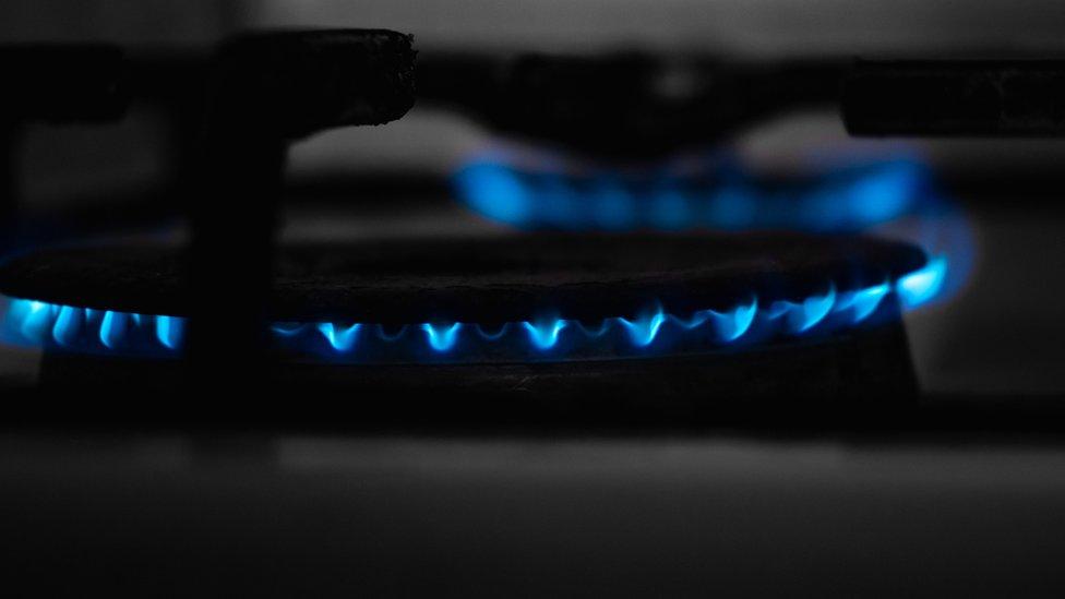 Stove(Gas cooker) with blue flame.