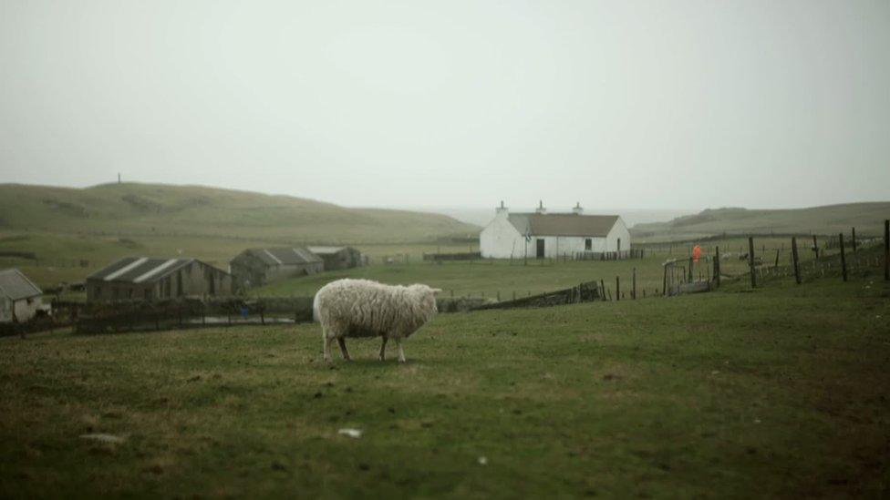 fair isle