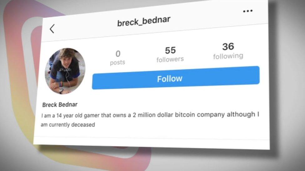 Bogus Instagram account