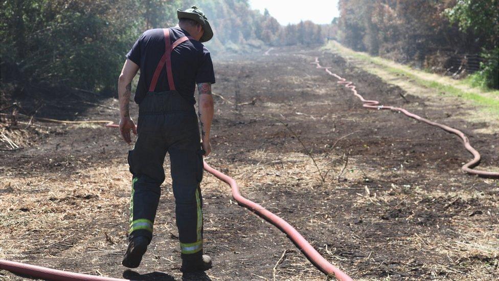 Hatfield Moors fire