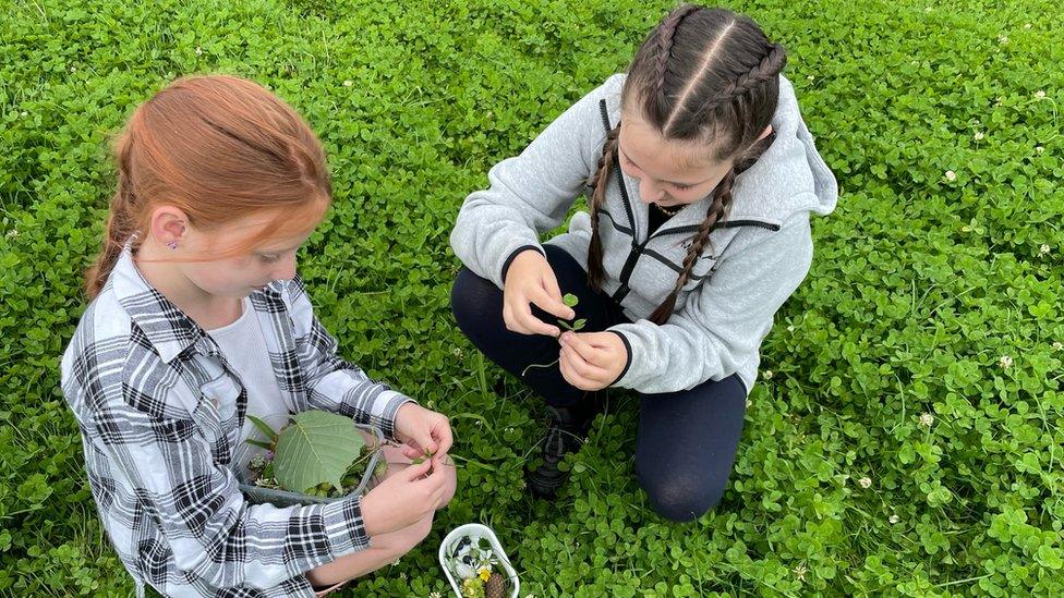 Young carers Penny (9) and Ada (10) gather items from the forest in a Carer Support Wiltshire summer activity event