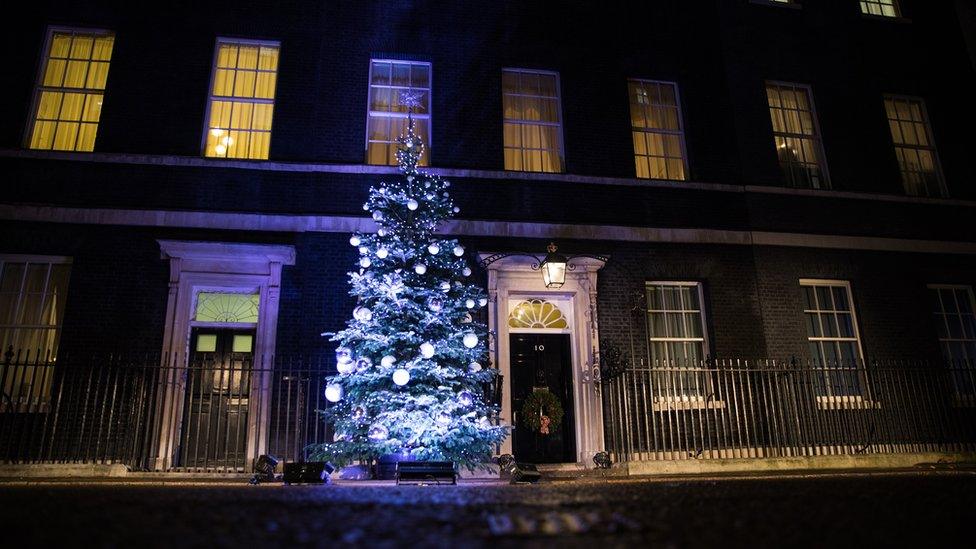 Christmas tree outside Downing Street