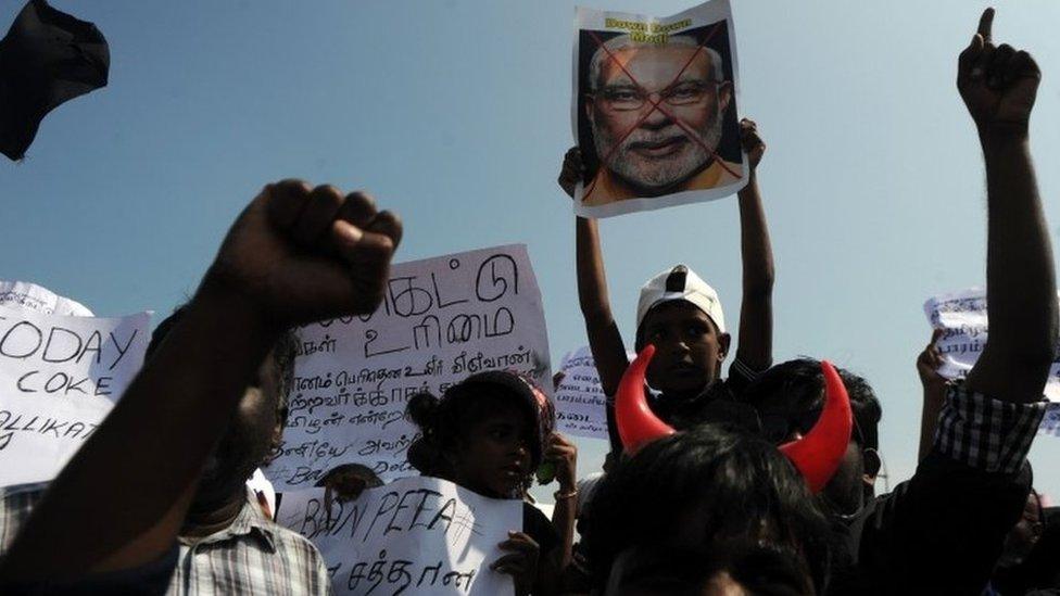 Indian students shout slogans and hold placards during a demonstration against the ban on the Jallikattu bull taming ritual, and calling for a ban on animal rights organisation PETA, at Marina Beach at Chennai on January 19, 2017.