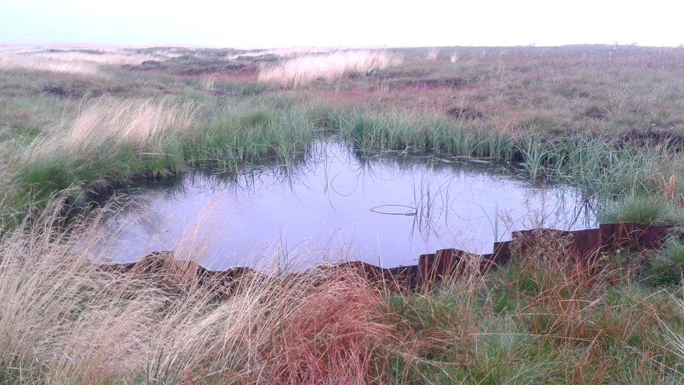 Dam on moors