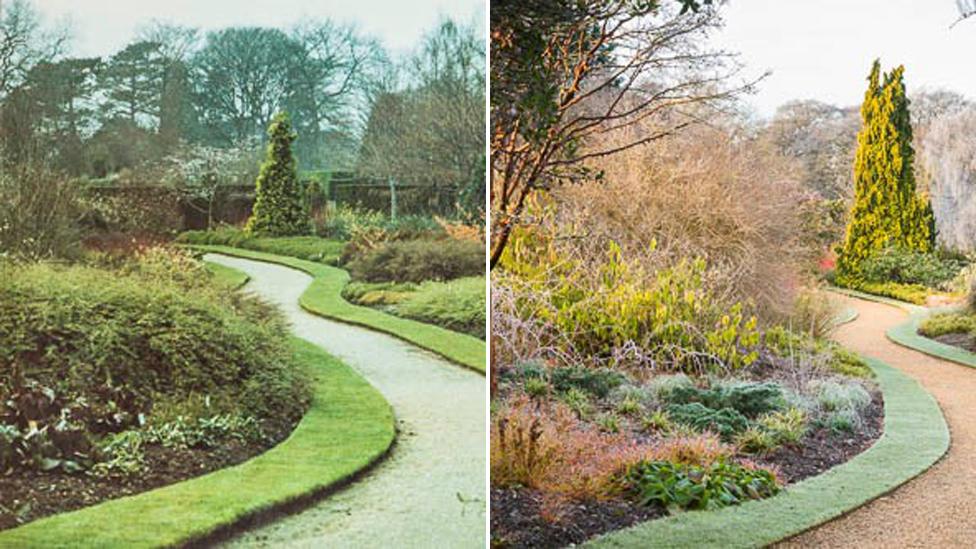 Winter garden before and after planting