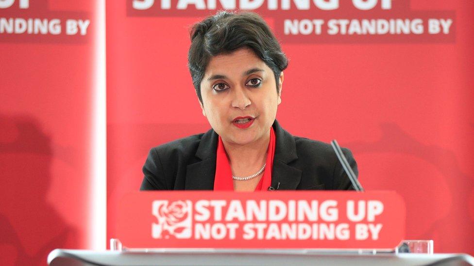 Shami Chakrabarti's report on racism within the Labour Party was criticised after she was nominated for a Labour peerage.