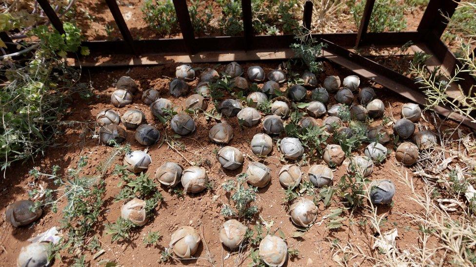 Cluster bomblets gathered in a field in southern Idlib province, Syria (21 May 2016)