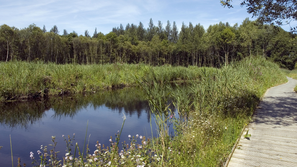 Sculthorpe Moor