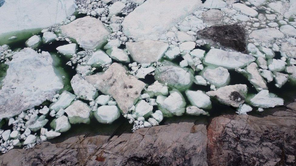 Icebergs off the west coast of Greenland