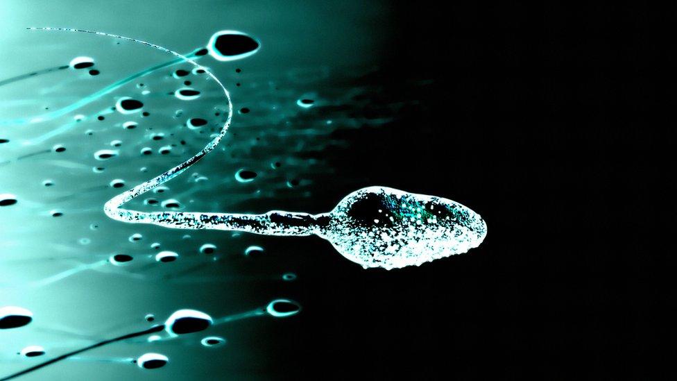 sperm