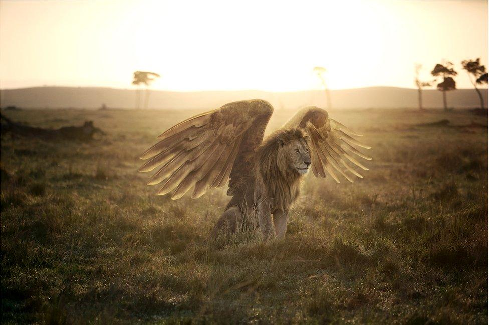 An abstract image of a lion with large bird's wings