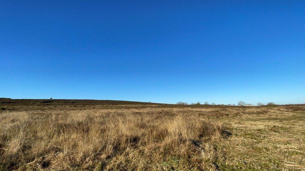 Roydon Common, west Norfolk