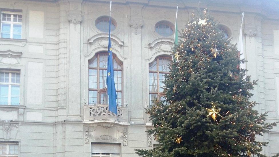 Christmas tree in Bolzano