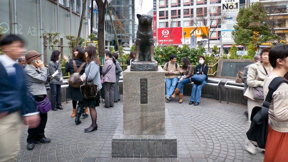 Hachiko monument in Shibuya