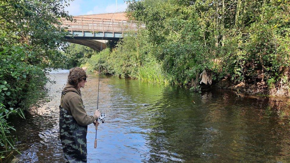 An angler holding a fishing rod and wearing waders stands in the River Tone