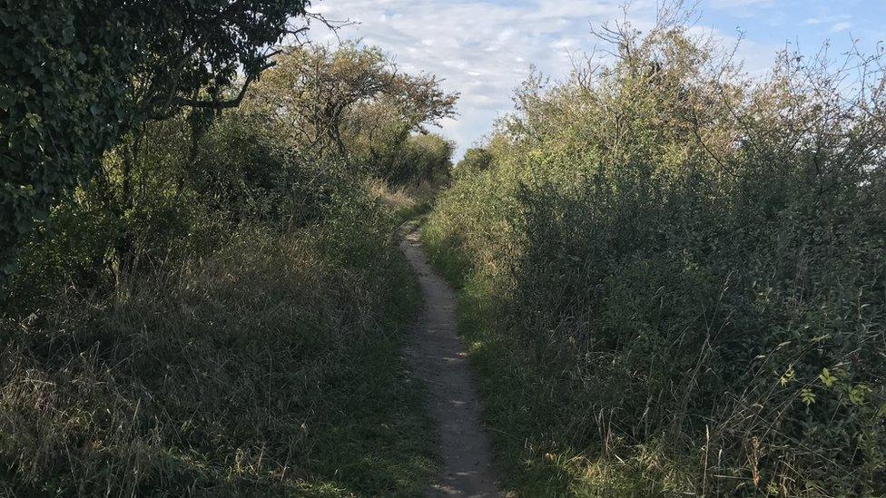 The Devil's Dyke