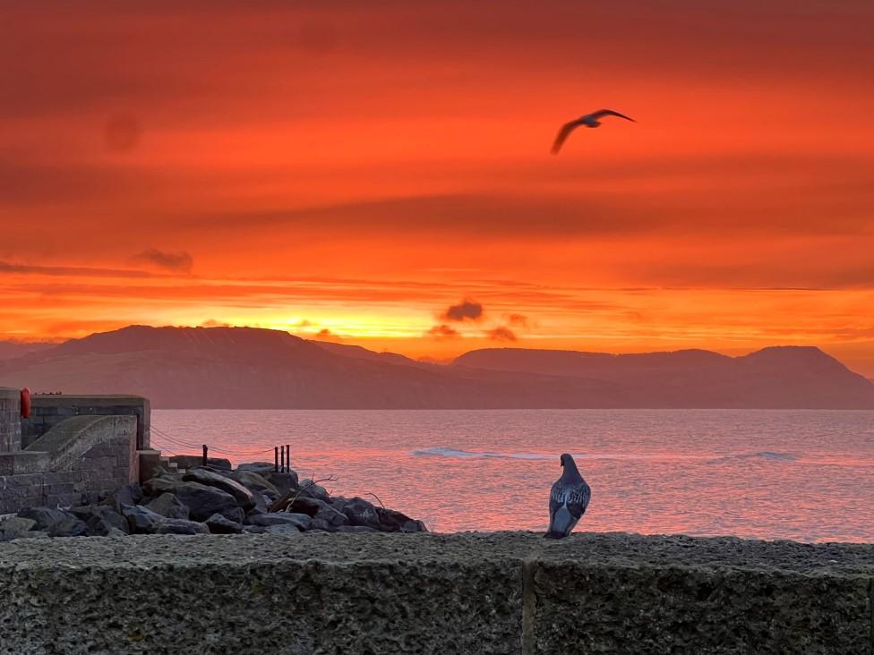 MONDAY - Lyme Regis