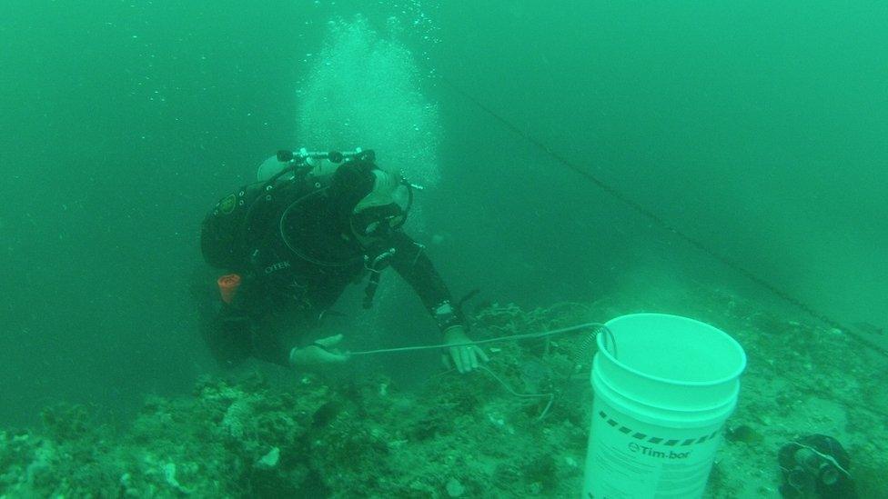 Diver inside the Amberjack Hole